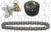 TRICLO 422193 Timing Chain Kit